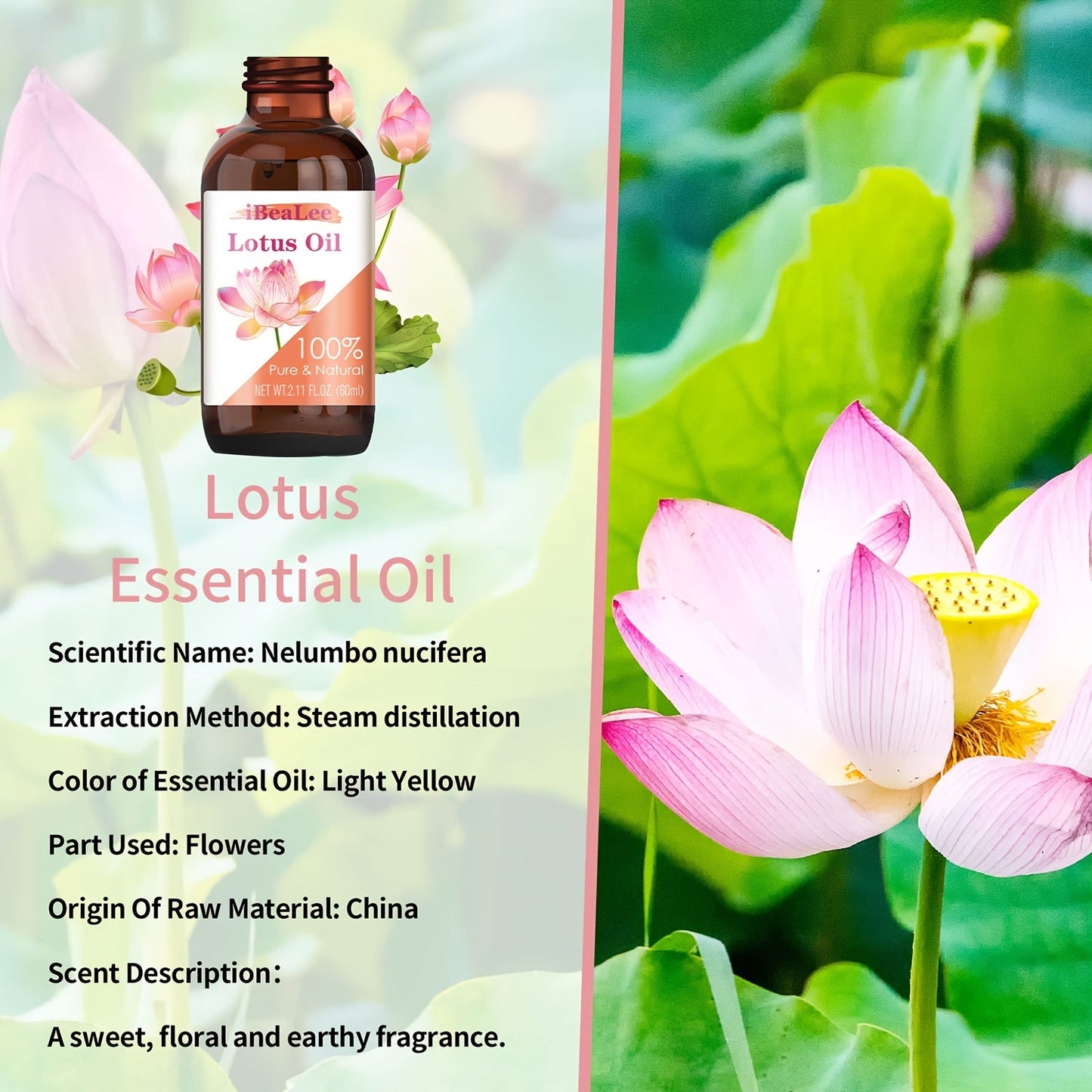 60ml 100% Pure Natural Luxurious Lotus Facial Oil - Hydrates, Nourishes, and Revitalizes Dry, Sensitive or Mature Skin for Glowing Complexion, Hair Care, and Aromatherapy - Night Face Massage Oil for Women luvshop24