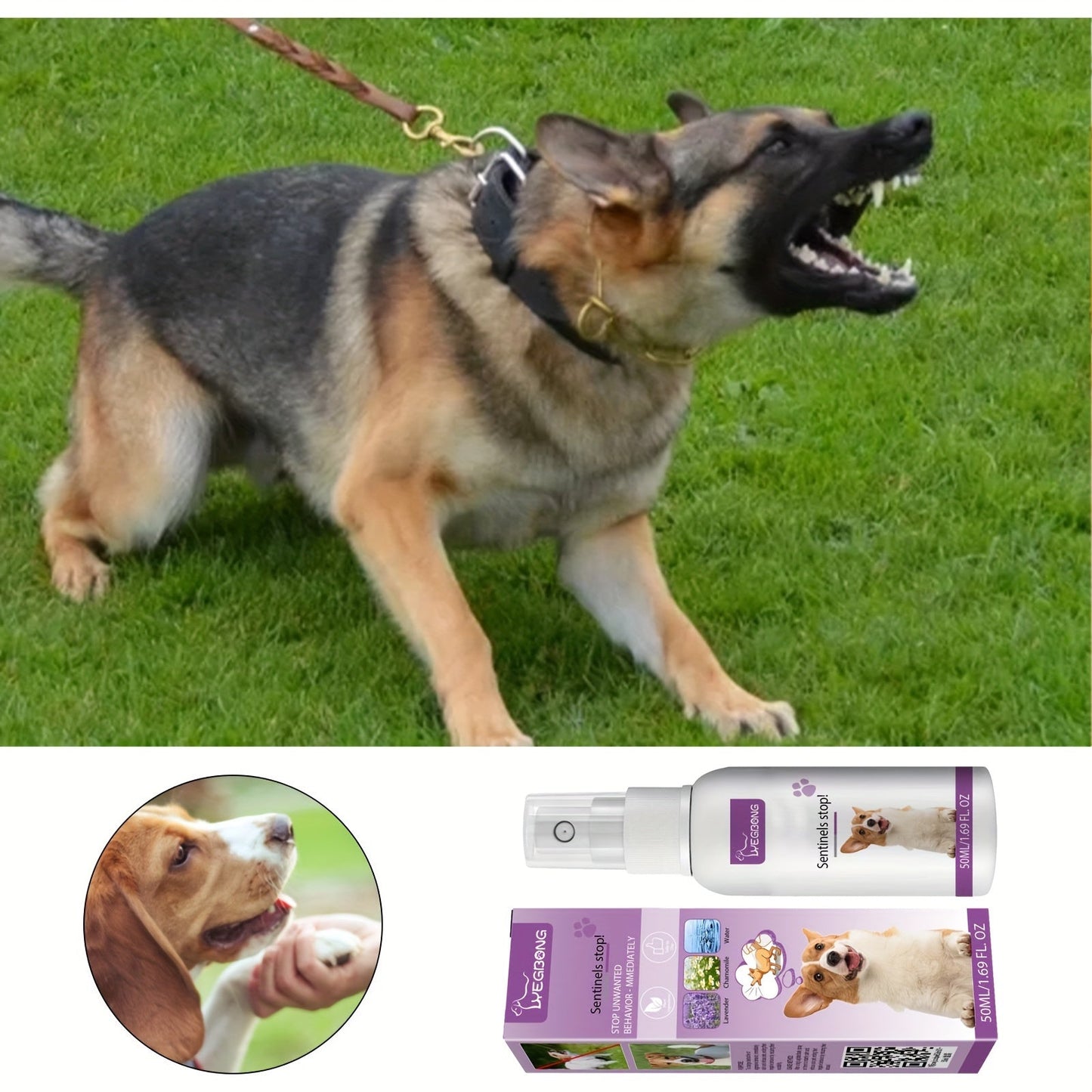 1x Pet Calming Spray 1.69oz - Noise Reduction with Chamomile & Lavender, Soothing Essential Oils for Dogs, Plastic Bottle, Uncharged, Water-Based Formula for Anxiety Relief & Focus Enhancement, Without Battery luvshop24