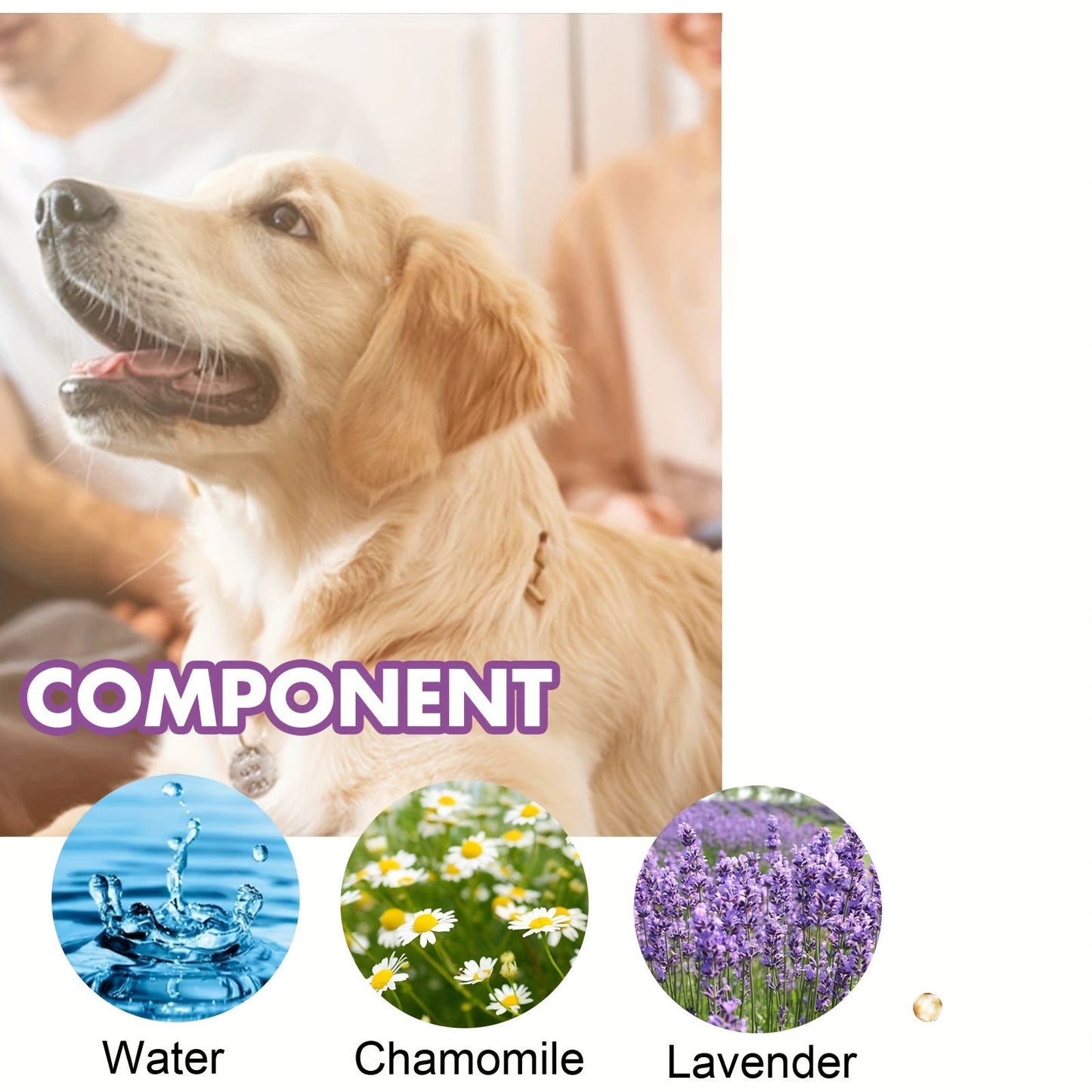 1x Pet Calming Spray 1.69oz - Noise Reduction with Chamomile & Lavender, Soothing Essential Oils for Dogs, Plastic Bottle, Uncharged, Water-Based Formula for Anxiety Relief & Focus Enhancement, Without Battery luvshop24