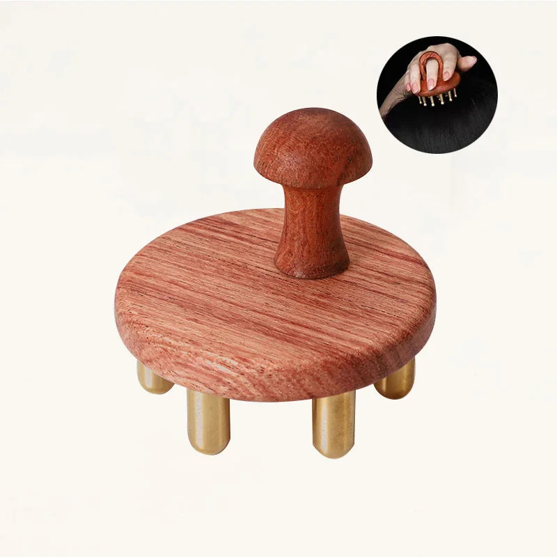 2024 Massager Health & Wellness Kansa Wand Massager Wood Meridian Brush Gua Sha Comb Guasha Massager luvshop24