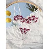 2023 New Adult Women Sexy Lingerie Mature Lady Lace See Through Lingerie 2 Pc Hot Balconette Bra Underwear and Panties Set luvshop24