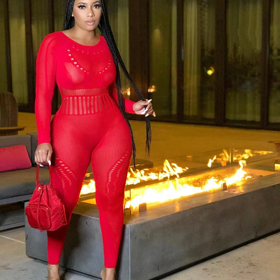 Fall 2023 Designer Outfits Long Sleeve See Through Bodycon Jumpsuit Sexy Jumpsuits Ladies Jumpsuits Body Stocking luvshop24