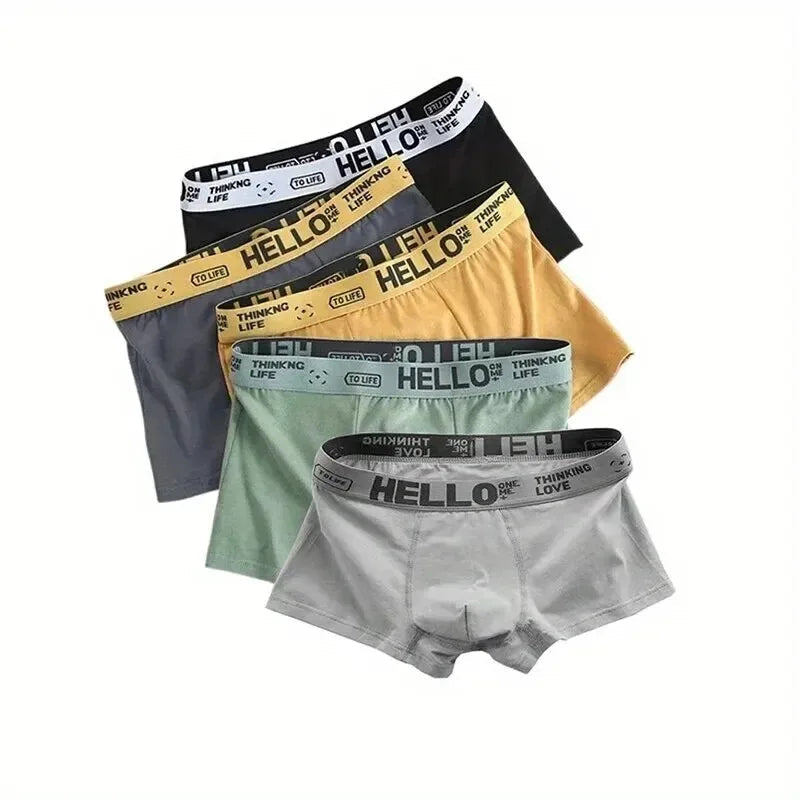 1-20Pcs Mens Underwear Male Boxers Sexy Underpants Comfortable Breathable Fashion Boys Panties Underwear Boxershorts Men luvshop24