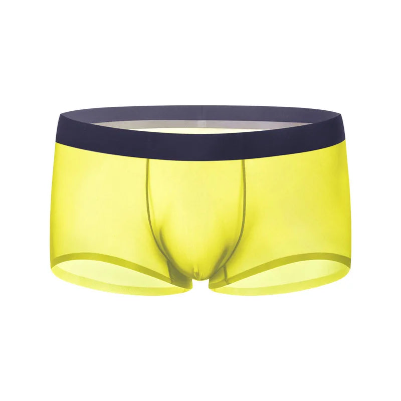 Ultra-Sheer Boxer Trunks Men Summer Ice Silk Seamless Underwear Nude-Feel Mesh Underpants Soft Knickers Male Bulge Pouch Panties luvshop24