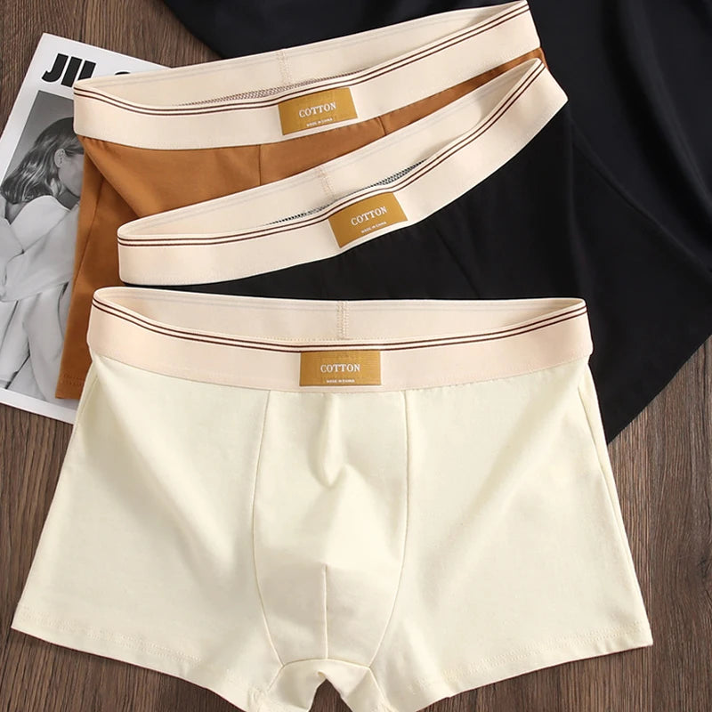 3pcs Men Underwear Cotton BoxerShorts Hombre Panties Man Breathable Underpants Sexy Sports Comfort Male Boxers Size L-4XL luvshop24