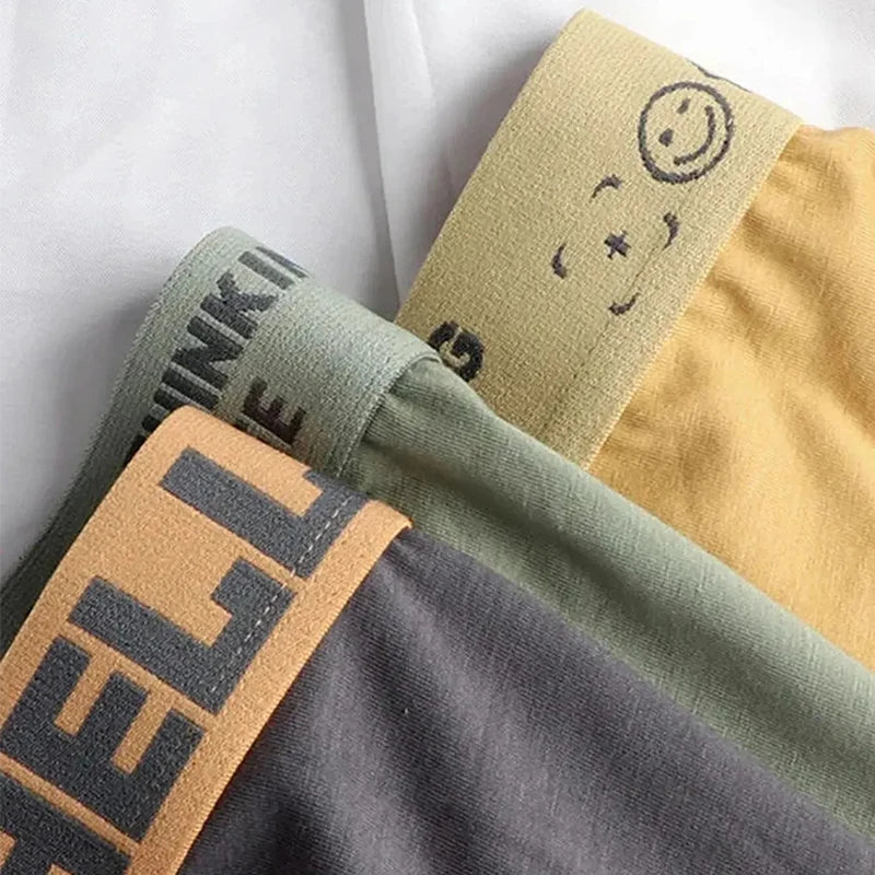 1-20Pcs Mens Underwear Male Boxers Sexy Underpants Comfortable Breathable Fashion Boys Panties Underwear Boxershorts Men luvshop24