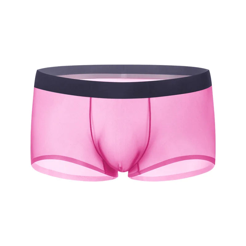 Ultra-Sheer Boxer Trunks Men Summer Ice Silk Seamless Underwear Nude-Feel Mesh Underpants Soft Knickers Male Bulge Pouch Panties luvshop24