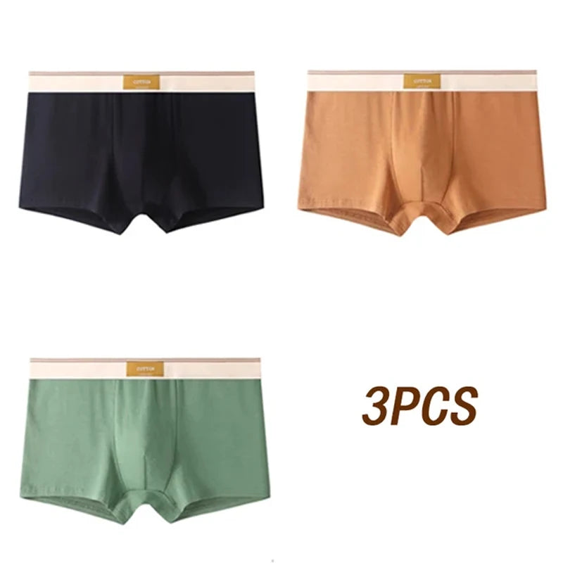 3pcs Men Underwear Cotton BoxerShorts Hombre Panties Man Breathable Underpants Sexy Sports Comfort Male Boxers Size L-4XL luvshop24