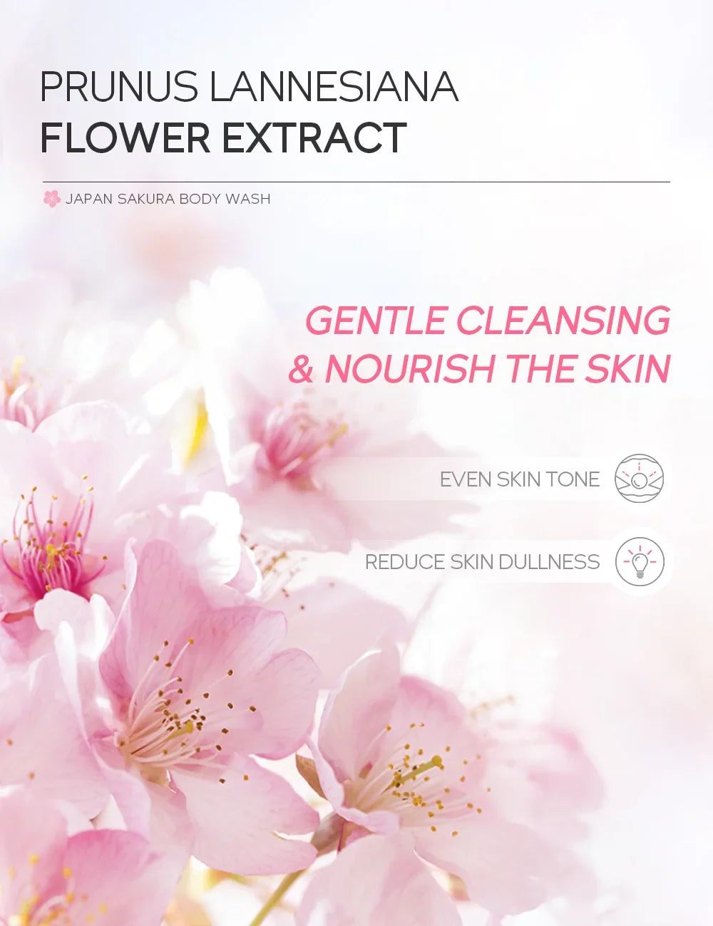 LAIKOU Sakura Shower Gel Long Moisturizing Smooth Long Lasting Fragrance Gentle Foam Body Cleansing Bath Product 200ml luvshop24