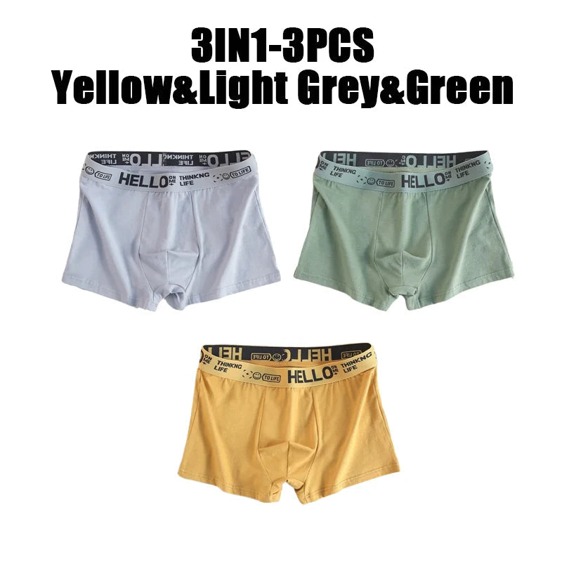 1-20Pcs Mens Underwear Male Boxers Sexy Underpants Comfortable Breathable Fashion Boys Panties Underwear Boxershorts Men luvshop24