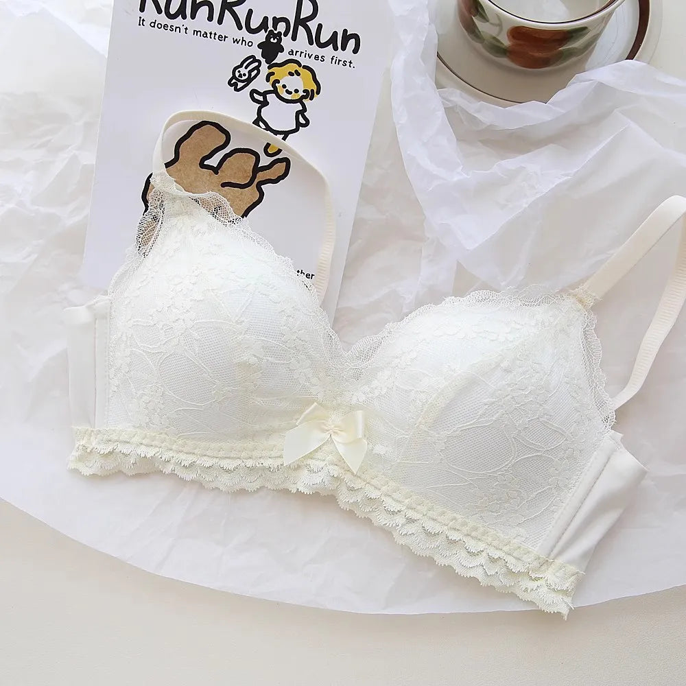 Lace Underwear Set of Female Small Breasts Gathered to Show Large on the Top Anti-Sagging Breasts Collect Vice Girls Student Bra luvshop24