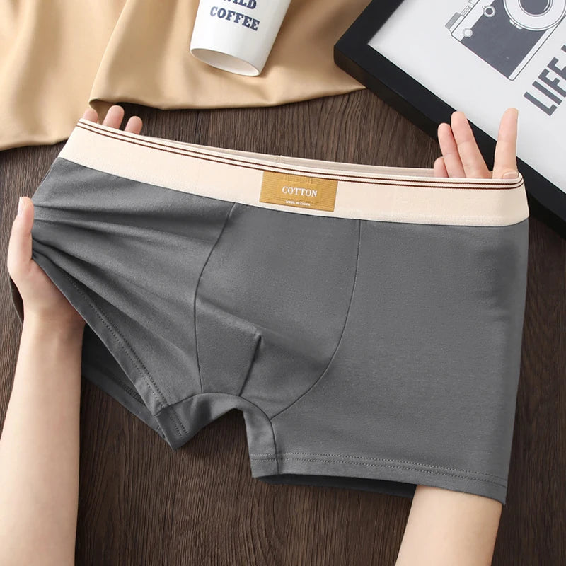 3pcs Men Underwear Cotton BoxerShorts Hombre Panties Man Breathable Underpants Sexy Sports Comfort Male Boxers Size L-4XL luvshop24
