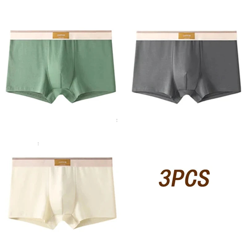 3pcs Men Underwear Cotton BoxerShorts Hombre Panties Man Breathable Underpants Sexy Sports Comfort Male Boxers Size L-4XL luvshop24