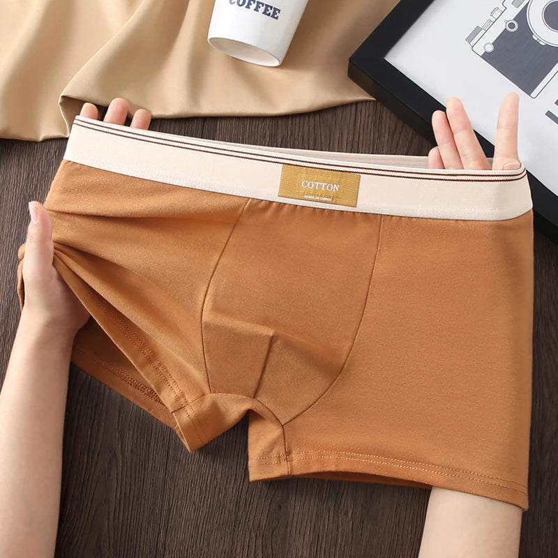 3pcs Men Underwear Cotton BoxerShorts Hombre Panties Man Breathable Underpants Sexy Sports Comfort Male Boxers Size L-4XL luvshop24