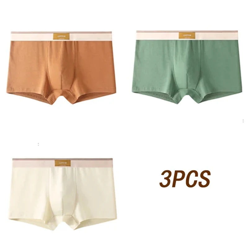 3pcs Men Underwear Cotton BoxerShorts Hombre Panties Man Breathable Underpants Sexy Sports Comfort Male Boxers Size L-4XL luvshop24