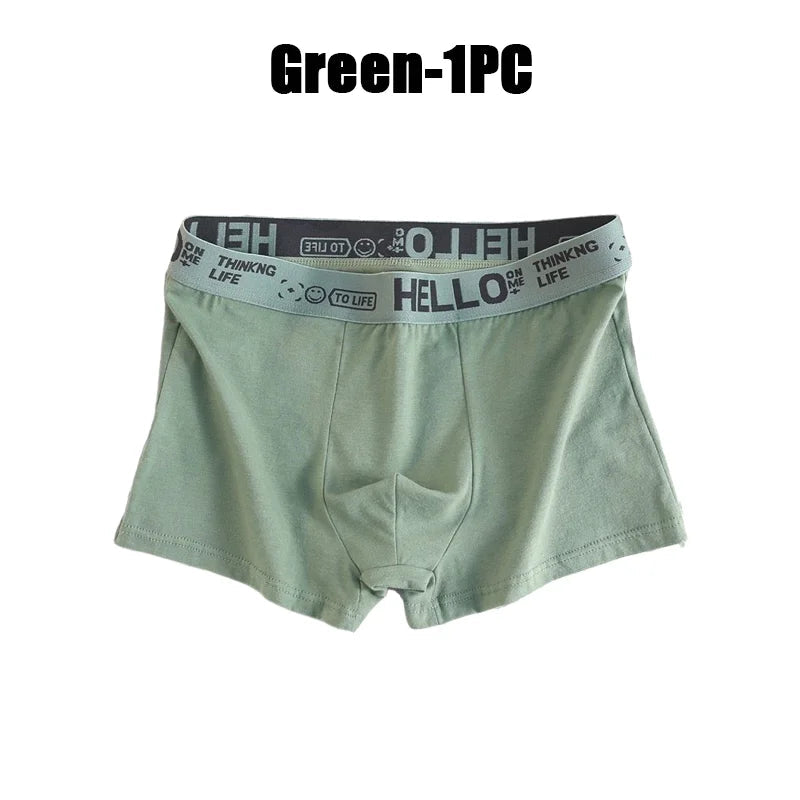 1-20Pcs Mens Underwear Male Boxers Sexy Underpants Comfortable Breathable Fashion Boys Panties Underwear Boxershorts Men luvshop24
