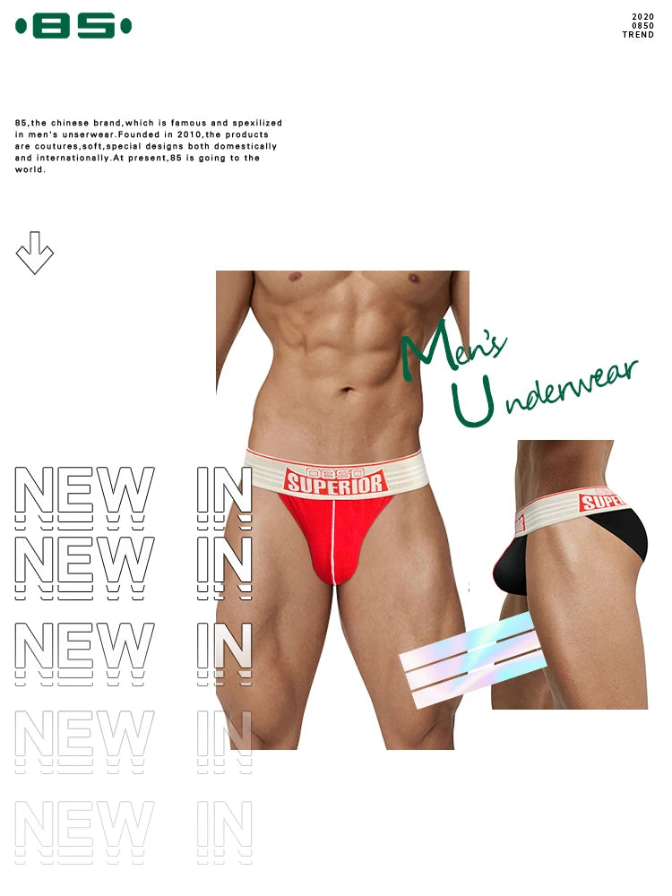 1/2/3/4PCS Men's New Low Waist High Fork Triangle Pants Stimulating Anti Wear Legs Showing Large Protruding Triangle Pants BS844 luvshop24