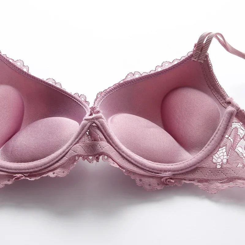 1 Set Elegant Erotic Lace Embroidery Breathable Fabric Lingeries : Push-Up Bra, Low Waist Sheer Panty - Ultimate Valentine's Day luvshop24