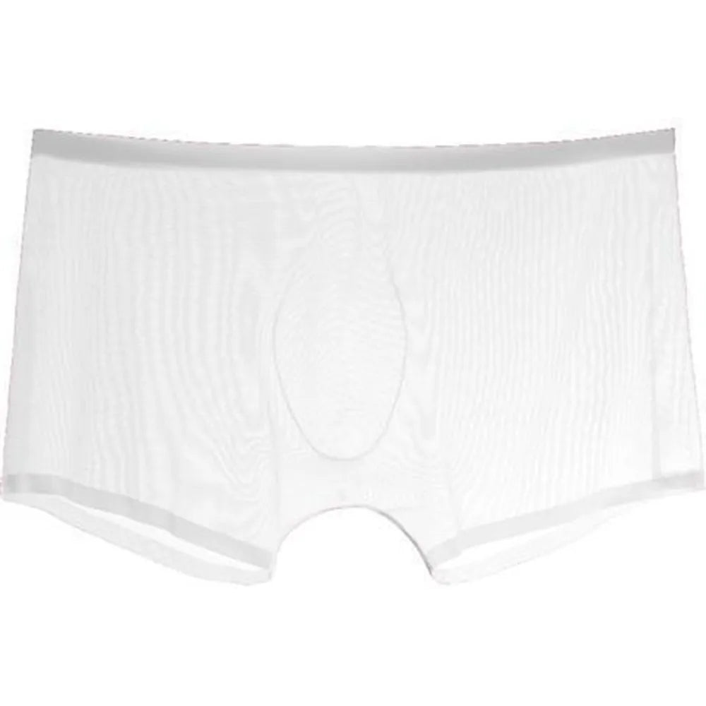 Transparent Boxers for Men See Through Male Underpants Sexy Low Waist Panties Lingerie Intimates luvshop24