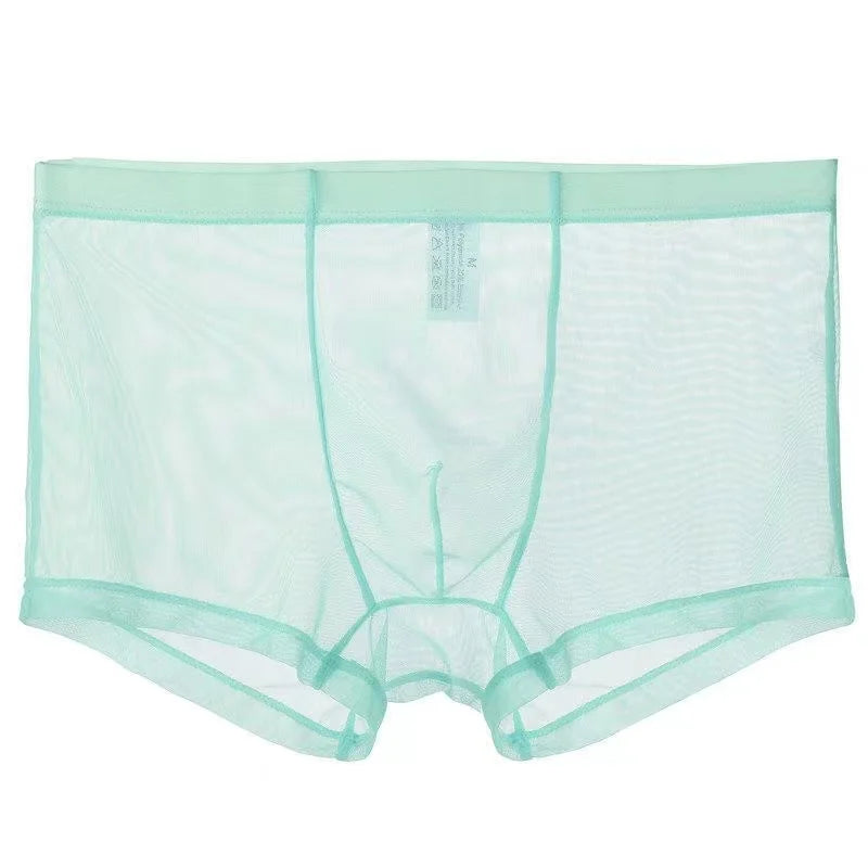 Transparent Boxers for Men See Through Male Underpants Sexy Low Waist Panties Lingerie Intimates luvshop24