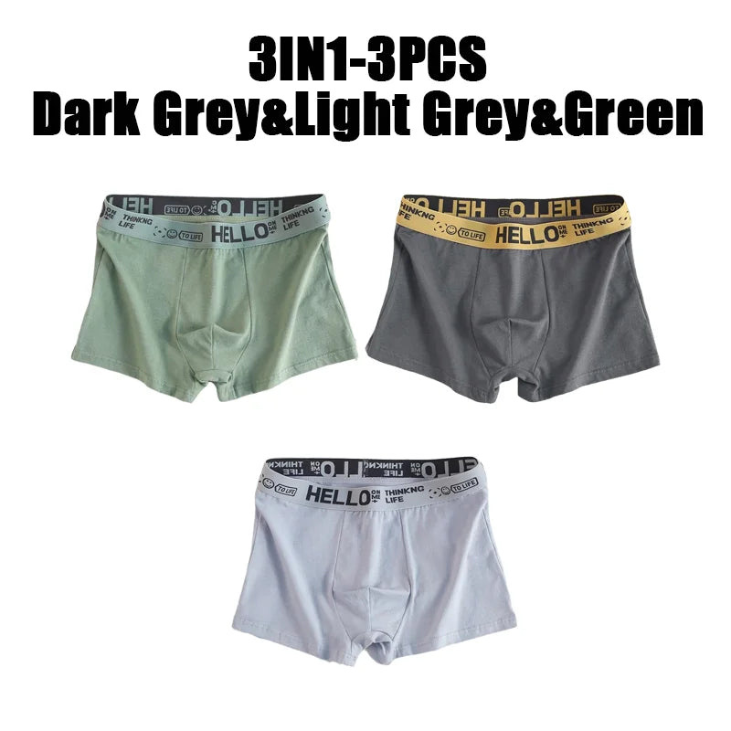 1-20Pcs Mens Underwear Male Boxers Sexy Underpants Comfortable Breathable Fashion Boys Panties Underwear Boxershorts Men luvshop24