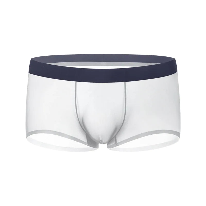 Ultra-Sheer Boxer Trunks Men Summer Ice Silk Seamless Underwear Nude-Feel Mesh Underpants Soft Knickers Male Bulge Pouch Panties luvshop24