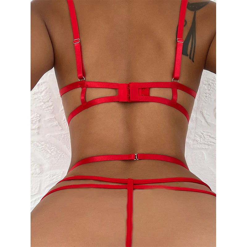 2022 Sexy Three Piece Suit Lace Shapewear Perspective Porn Suit Halterneck Embroidered Push Up Bra Garter Teddy Lingerie Hot Set luvshop24
