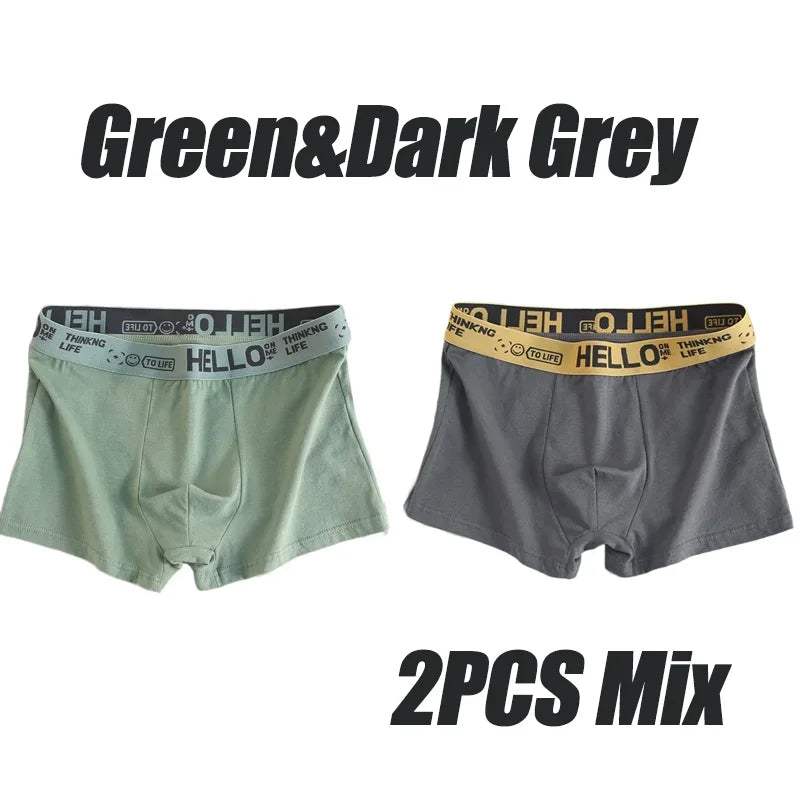 1-20Pcs Mens Underwear Male Boxers Sexy Underpants Comfortable Breathable Fashion Boys Panties Underwear Boxershorts Men luvshop24
