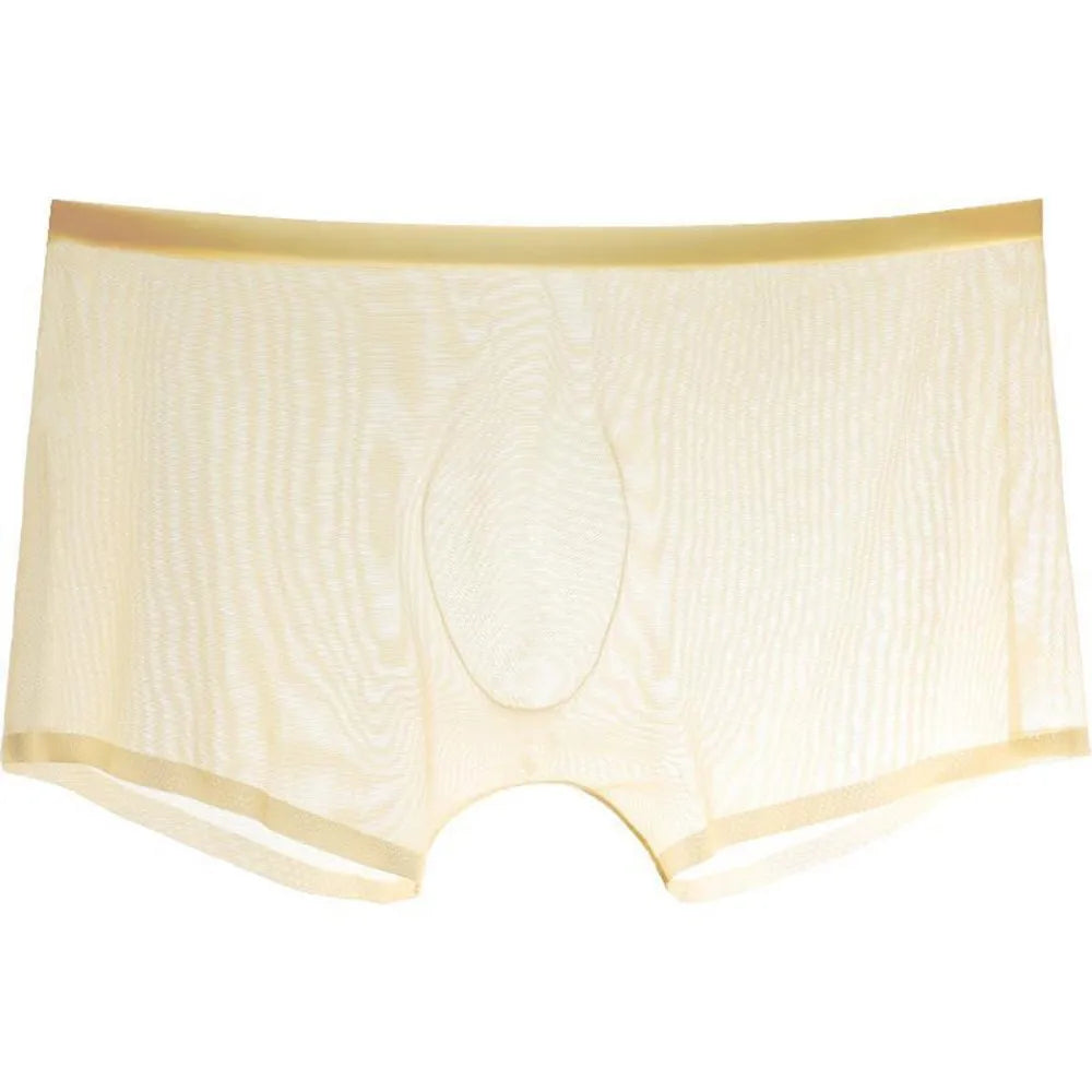 Transparent Boxers for Men See Through Male Underpants Sexy Low Waist Panties Lingerie Intimates luvshop24