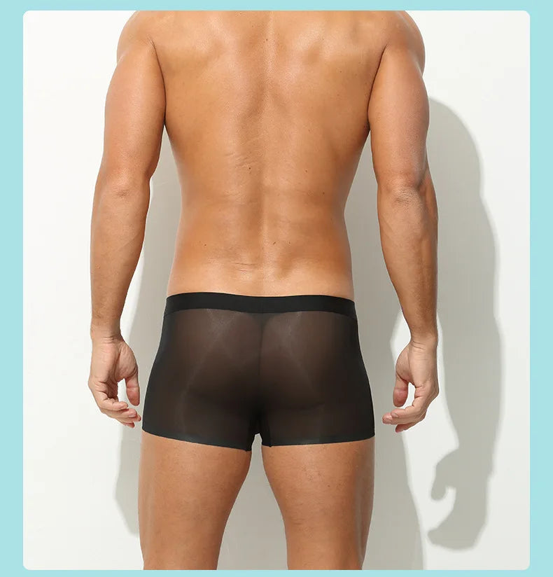 Ultra-Sheer Boxer Trunks Men Summer Ice Silk Seamless Underwear Nude-Feel Mesh Underpants Soft Knickers Male Bulge Pouch Panties luvshop24
