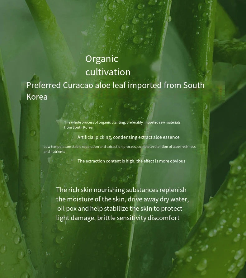 Aloe Vera Gel 500g Large Bottle Moisturizing Aloe Gel Large Capacity Hydrating and Moisturizing luvshop24