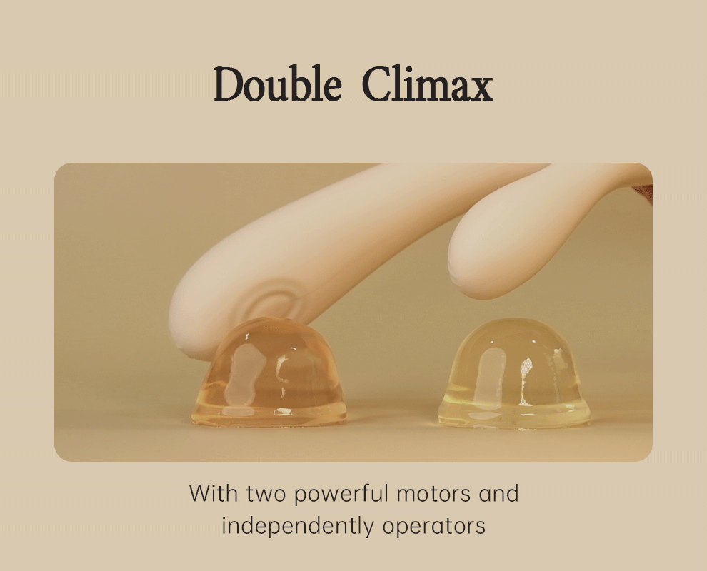 DRY WELL Rabbit Vibrator with Unique Patting Function Clitoris Stimulator Dildo with 10 Powerful Modes Dual Motor Stimulator luvshop24
