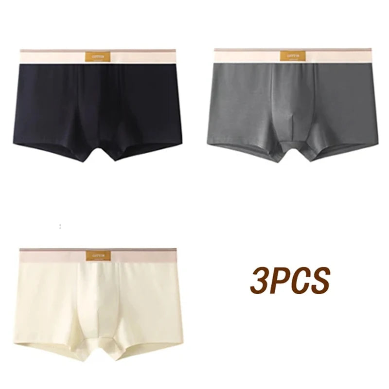 3pcs Men Underwear Cotton BoxerShorts Hombre Panties Man Breathable Underpants Sexy Sports Comfort Male Boxers Size L-4XL luvshop24