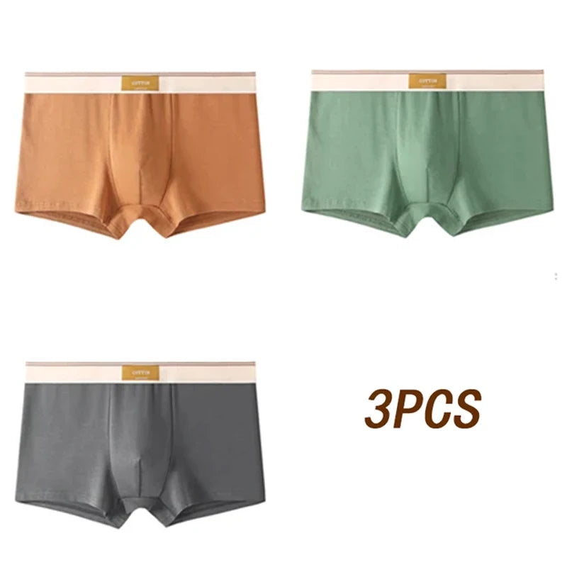 3pcs Men Underwear Cotton BoxerShorts Hombre Panties Man Breathable Underpants Sexy Sports Comfort Male Boxers Size L-4XL luvshop24