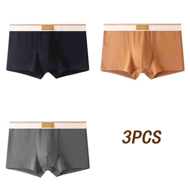 3pcs Men Underwear Cotton BoxerShorts Hombre Panties Man Breathable Underpants Sexy Sports Comfort Male Boxers Size L-4XL luvshop24