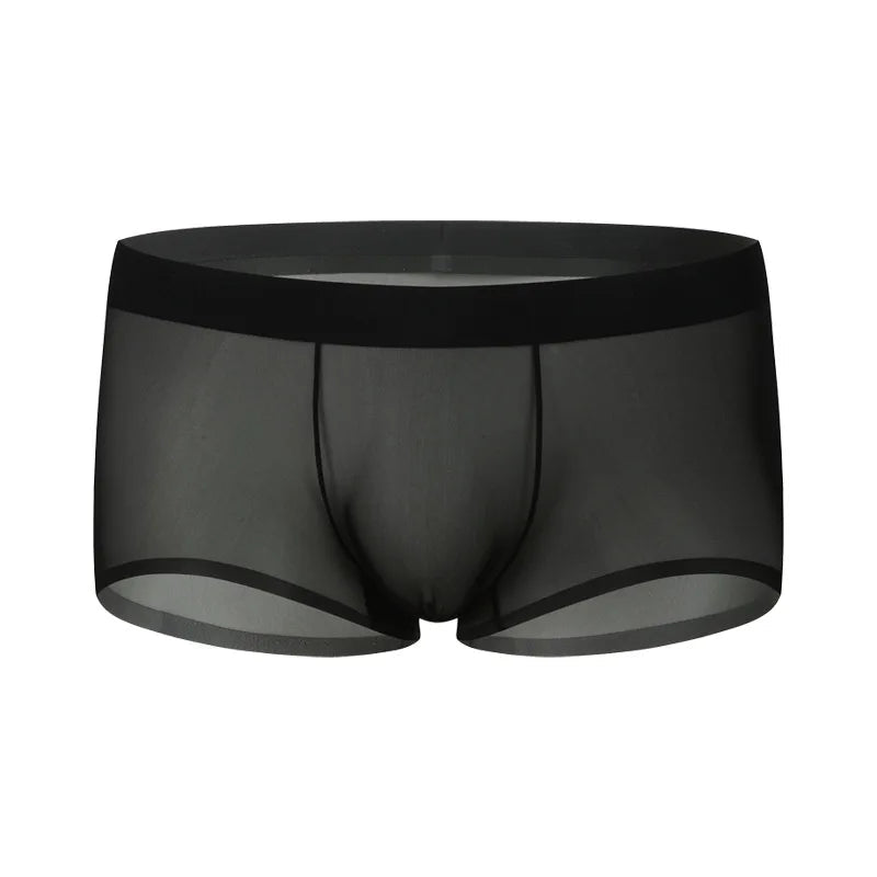 Ultra-Sheer Boxer Trunks Men Summer Ice Silk Seamless Underwear Nude-Feel Mesh Underpants Soft Knickers Male Bulge Pouch Panties luvshop24