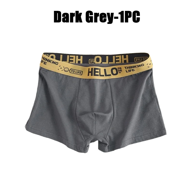 1-20Pcs Mens Underwear Male Boxers Sexy Underpants Comfortable Breathable Fashion Boys Panties Underwear Boxershorts Men luvshop24