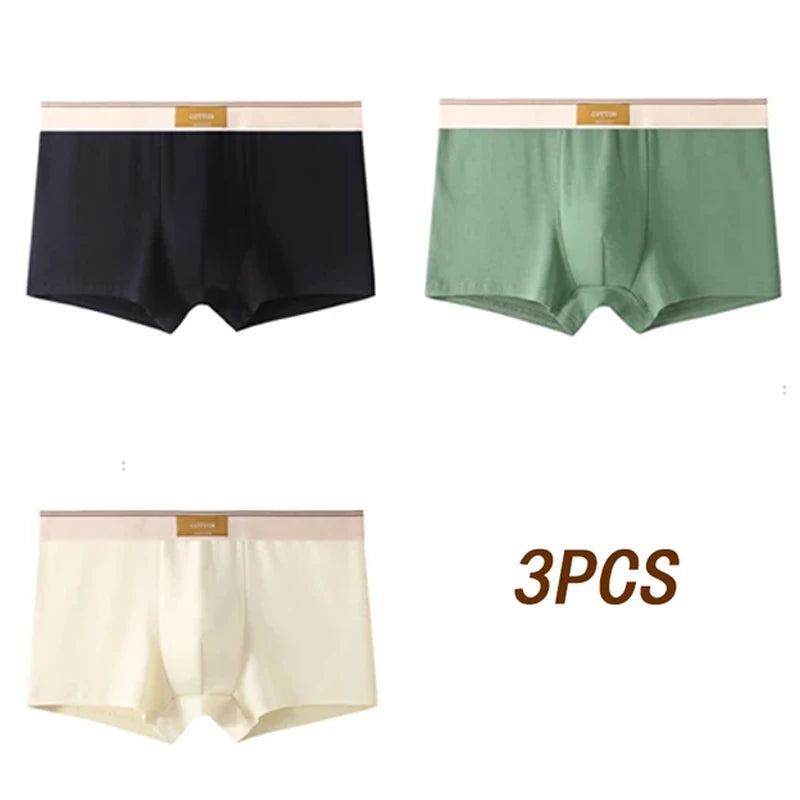 3pcs Men Underwear Cotton BoxerShorts Hombre Panties Man Breathable Underpants Sexy Sports Comfort Male Boxers Size L-4XL luvshop24