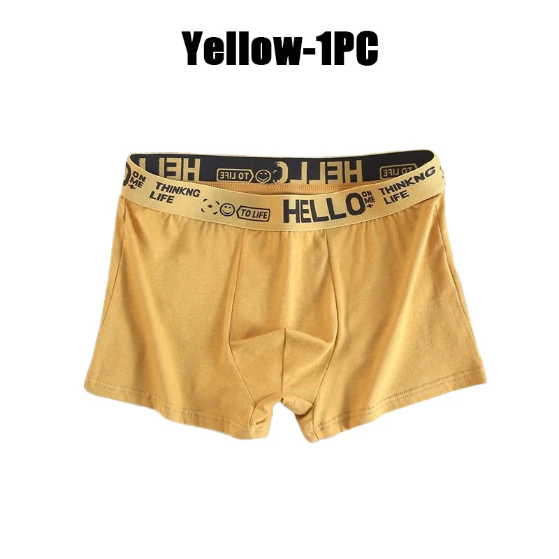 1-20Pcs Mens Underwear Male Boxers Sexy Underpants Comfortable Breathable Fashion Boys Panties Underwear Boxershorts Men luvshop24