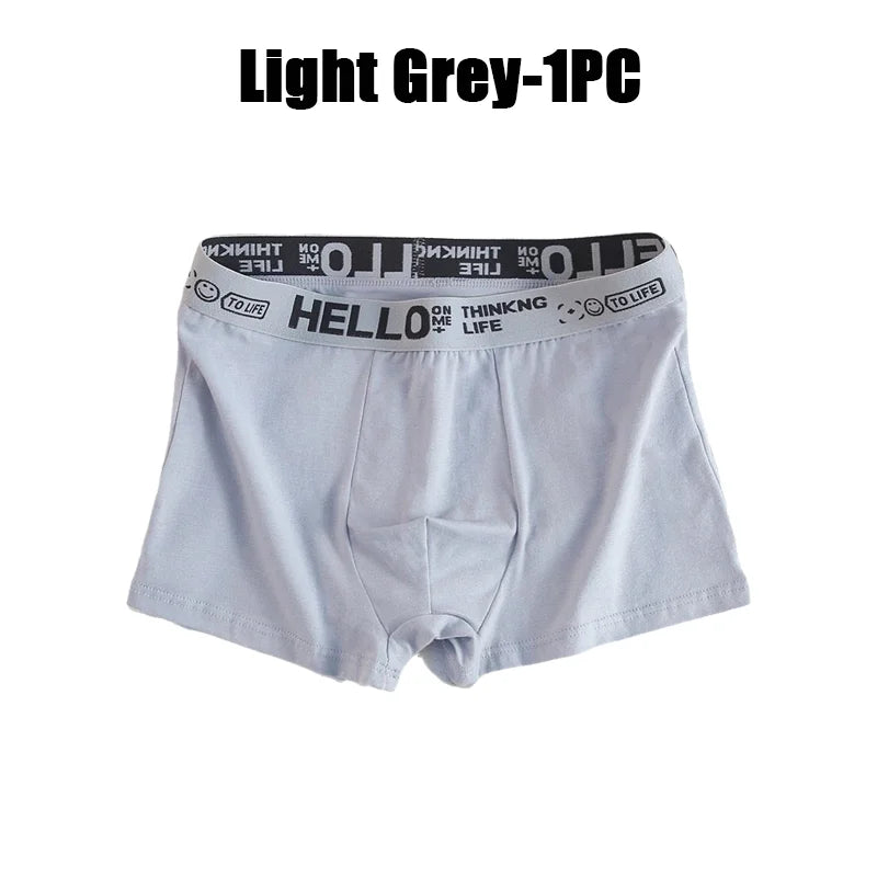 1-20Pcs Mens Underwear Male Boxers Sexy Underpants Comfortable Breathable Fashion Boys Panties Underwear Boxershorts Men luvshop24