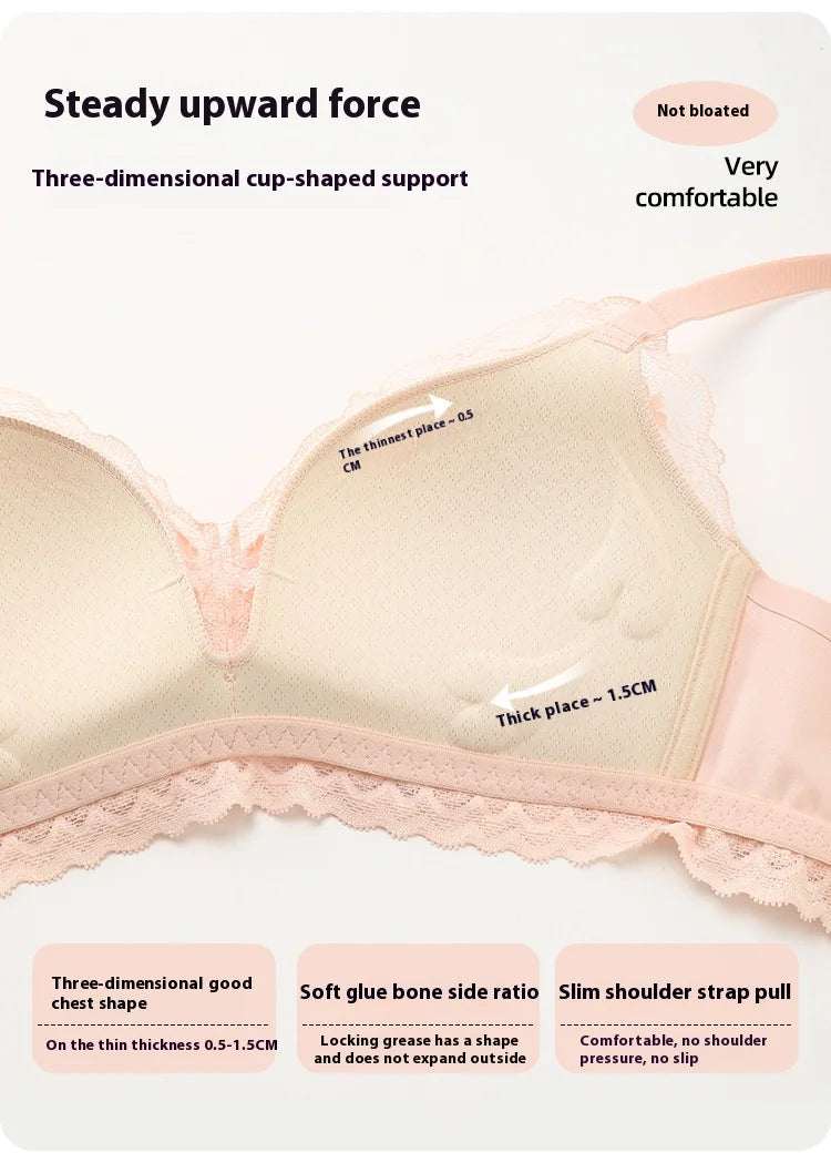 Lace Underwear Set of Female Small Breasts Gathered to Show Large on the Top Anti-Sagging Breasts Collect Vice Girls Student Bra luvshop24