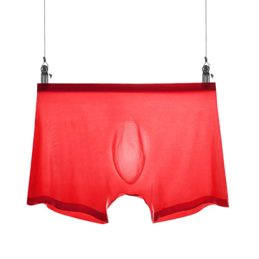 Transparent Boxers for Men See Through Male Underpants Sexy Low Waist Panties Lingerie Intimates luvshop24