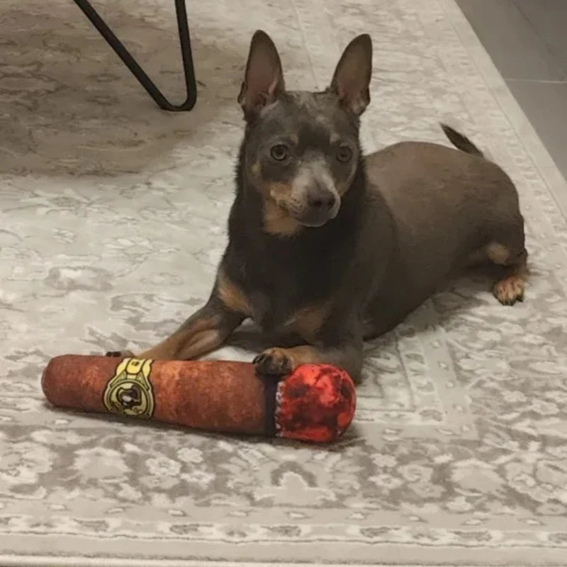 Interactive Dog Joint Sound Puppy Toys Cigar For Small Resistant Squeak Dogs Indestructible Dog Plush Chewing Toy Pet Bite Toys luvshop24
