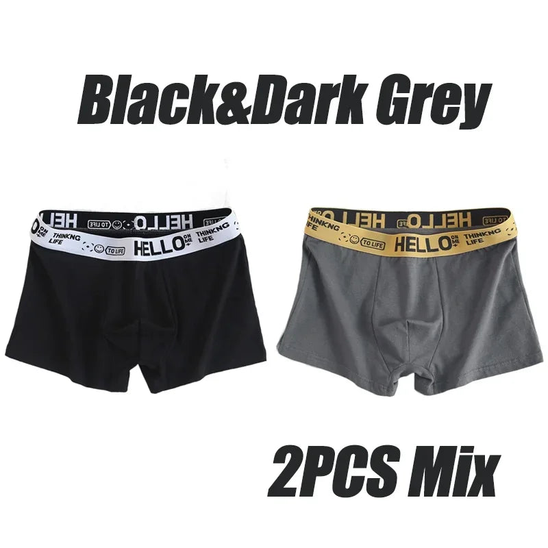 1-20Pcs Mens Underwear Male Boxers Sexy Underpants Comfortable Breathable Fashion Boys Panties Underwear Boxershorts Men luvshop24