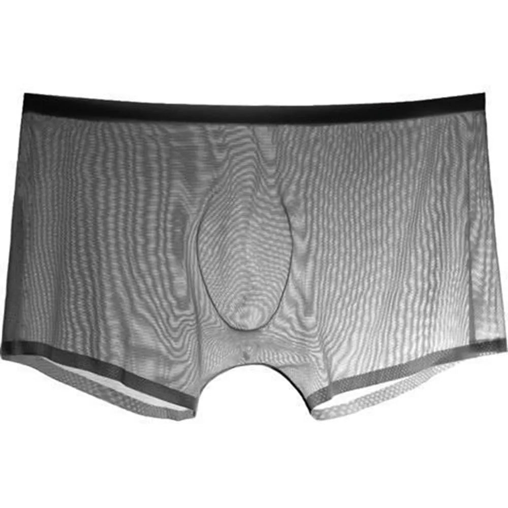 Transparent Boxers for Men See Through Male Underpants Sexy Low Waist Panties Lingerie Intimates luvshop24