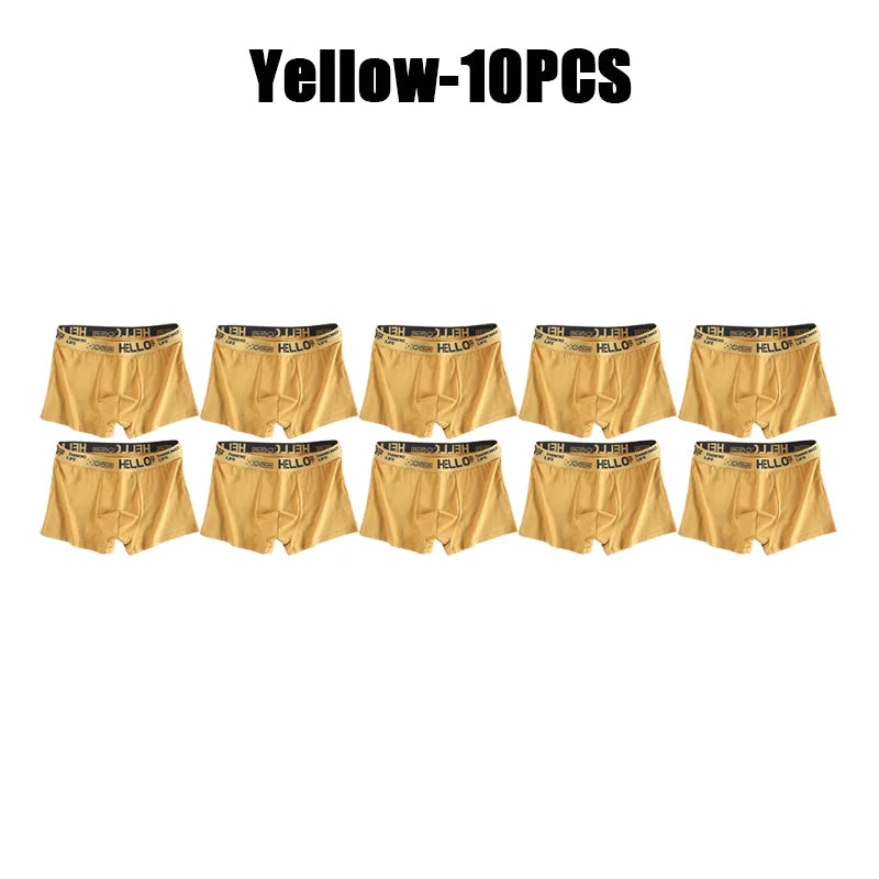 1-20Pcs Mens Underwear Male Boxers Sexy Underpants Comfortable Breathable Fashion Boys Panties Underwear Boxershorts Men luvshop24