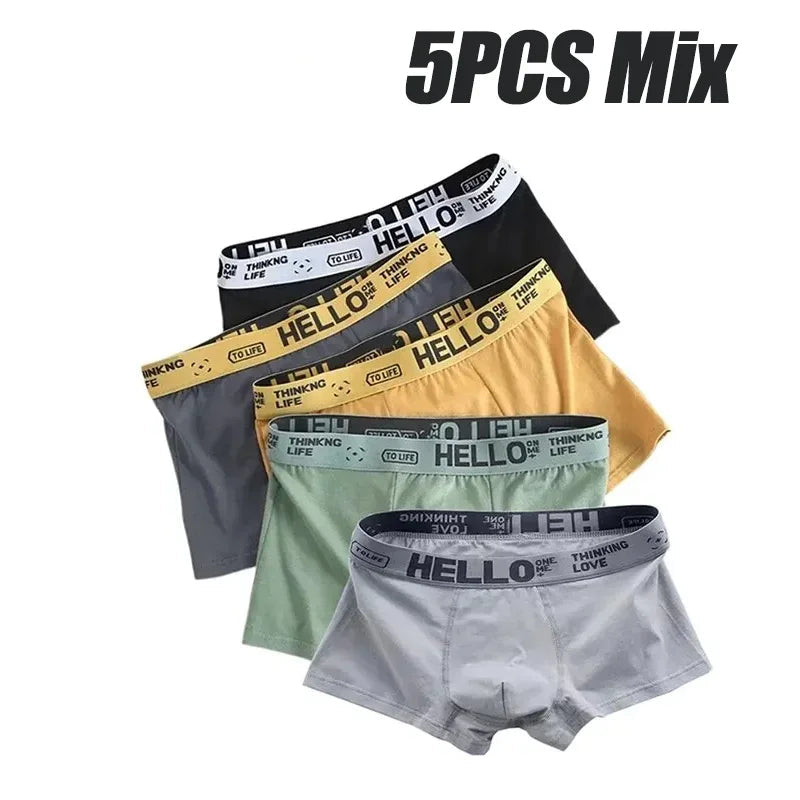1-20Pcs Mens Underwear Male Boxers Sexy Underpants Comfortable Breathable Fashion Boys Panties Underwear Boxershorts Men luvshop24