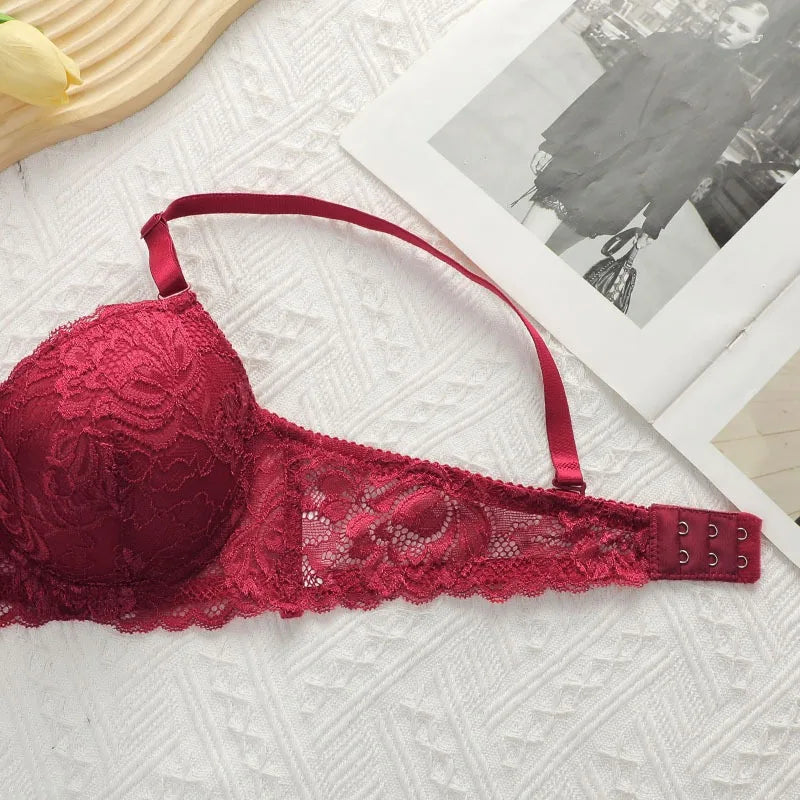 Lace Bras Set For Womens Sexy brs & panty sets Female Lingerie Embroidered 34/75 36/80 38/85 BCD Cup Underwear luvshop24
