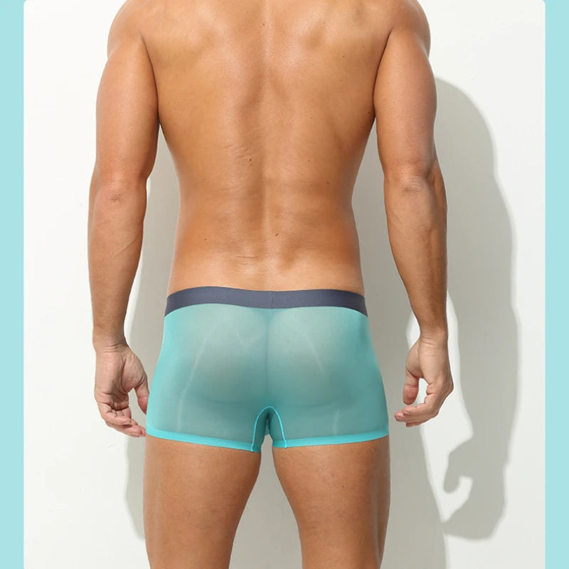 Ultra-Sheer Boxer Trunks Men Summer Ice Silk Seamless Underwear Nude-Feel Mesh Underpants Soft Knickers Male Bulge Pouch Panties luvshop24