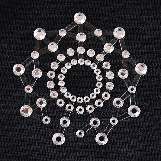 2pcs SM Transparent Sexy Nipple Stickers, Women's Lingerie Pasties, Petal Breast Pasties, Adhesive Nipple Covers luvshop24